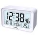 Часы настольные Technoline WT497 White (WT497) DS_DAS302471 фото 1