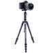 Штатив Vanguard Vesta TB 204CB (Vesta TB 204CB) DS_DAS301490 фото 6