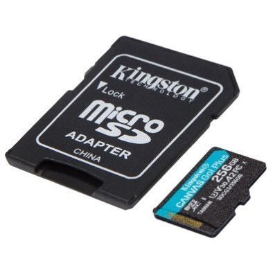 Карта пам'яті Kingston Canvas Go! Plus microSD [SDCG3/256GB] RC_SDCG3/256GB фото