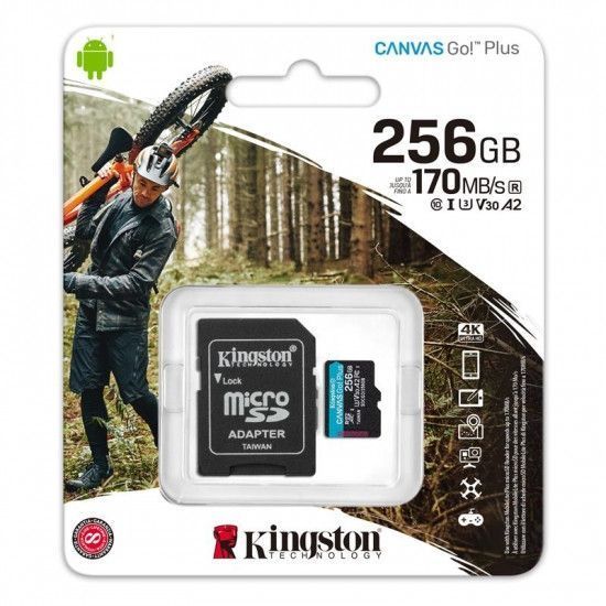 Карта пам'яті Kingston Canvas Go! Plus microSD [SDCG3/256GB] RC_SDCG3/256GB фото