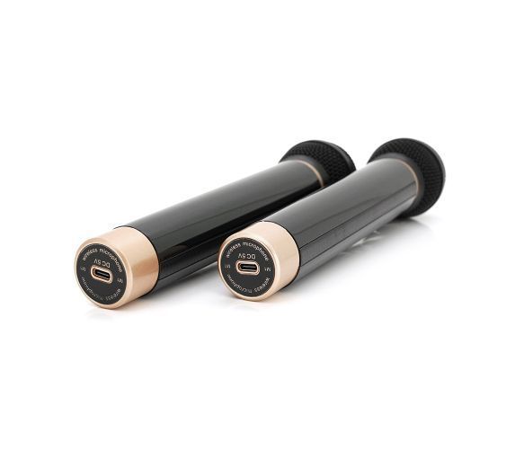 Колонка Kisonli G101 Bluetooth 5.0, два мікрофони, 2х15W, 2400m Аг, USB, DC: 5V/1A, Чорний, Q8 U_31285 фото