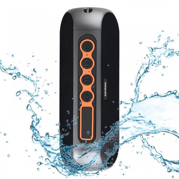 Блютуз-колонка Aspiring Blast 3 TWS 20W Radio AS_BL3005R фото