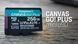 Карта пам'яті Kingston Canvas Go! Plus microSD [SDCG3/256GB] RC_SDCG3/256GB фото 4