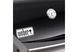 Газовый гриль Spirit E-210 Weber 46010675 GR_004085 фото 3