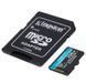 Карта пам'яті Kingston Canvas Go! Plus microSD [SDCG3/256GB] RC_SDCG3/256GB фото 2