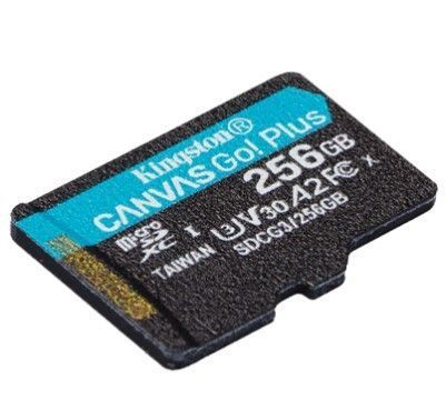 Карта пам'яті Kingston Canvas Go! Plus microSD [SDCG3/256GBSP] RC_SDCG3/256GBSP фото