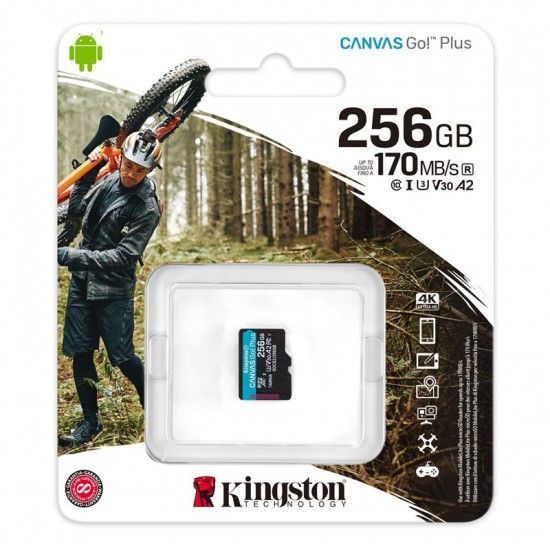 Карта пам'яті Kingston Canvas Go! Plus microSD [SDCG3/256GBSP] RC_SDCG3/256GBSP фото