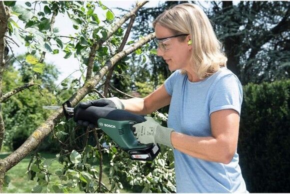Сабічна пила Bosch AdvancedRecip18 (06033B2401) RC_0.603.3B2.401 фото