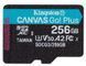 Карта пам'яті Kingston Canvas Go! Plus microSD [SDCG3/256GBSP] RC_SDCG3/256GBSP фото 1