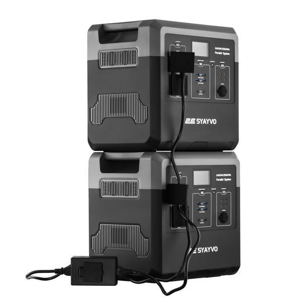 Система паралельного з'єднання електростанцій 2E Dual Power RC_2E-APS-250-1530 фото