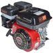 Двигатель бензиновый Vitals GE 7.0-20s IN_165169 фото 2