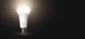 Стартовий комплект Philips Hue White (Bridge, Dimmer, лампа E27 White 3шт) RC_929001821620 фото 4