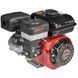 Двигун бензиновий Vitals GE 7.0-25s IN_165168 фото 6