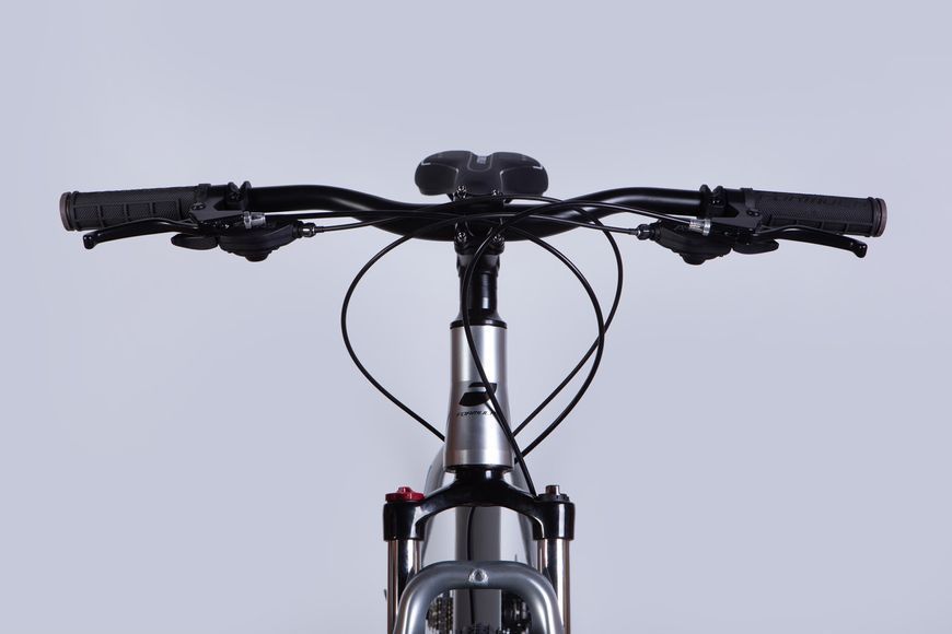 Велосипед AL 29" Formula ZEPHYR 3.0 DD CS рама-19" срiблястий 2025 VT_OPS-FR-29-357 фото