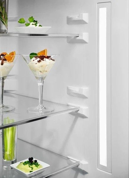 Electrolux Холодильник з нижнь. мороз. камерою RC_RNT7ME34G1 фото