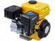 Двигатель бензиновый Forte F200G HY_4153 фото 1