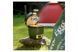 Керамічний вугільний гриль Mini Big Green Egg 117618 (00040) GR_003009 фото 4