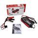 Зарядное устройство Vitals Master Smart 3000 IN_182531 фото 9