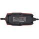 Зарядное устройство Vitals Master Smart 3000 IN_182531 фото 8