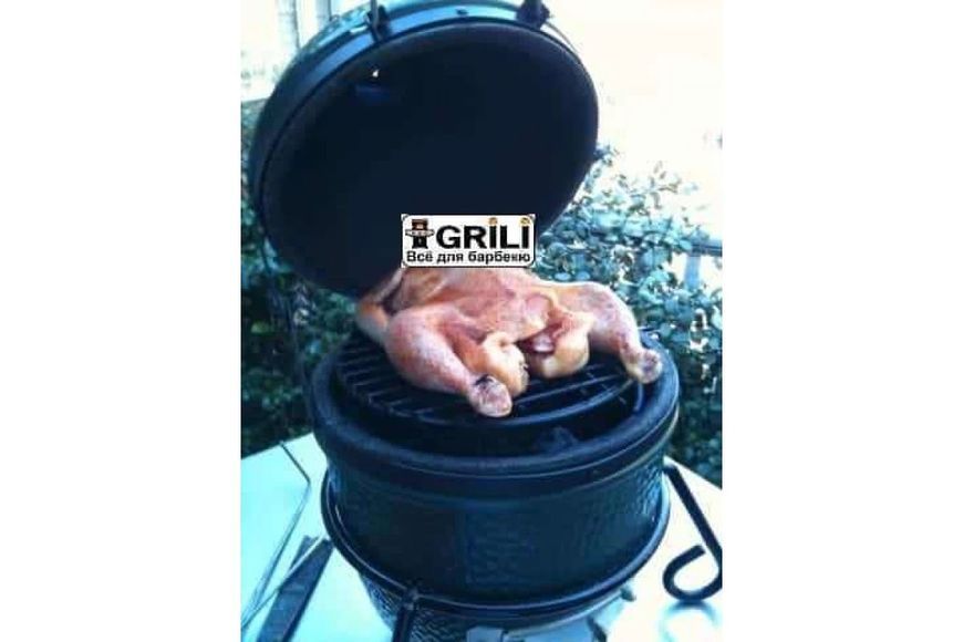 Керамічний вугільний гриль Mini Big Green Egg 117618 (00040) GR_003009 фото