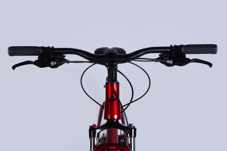 Велосипед AL 29" Formula ZEPHYR 3.0 DD CS рама-19" червоний 2025 VT_OPS-FR-29-356 фото