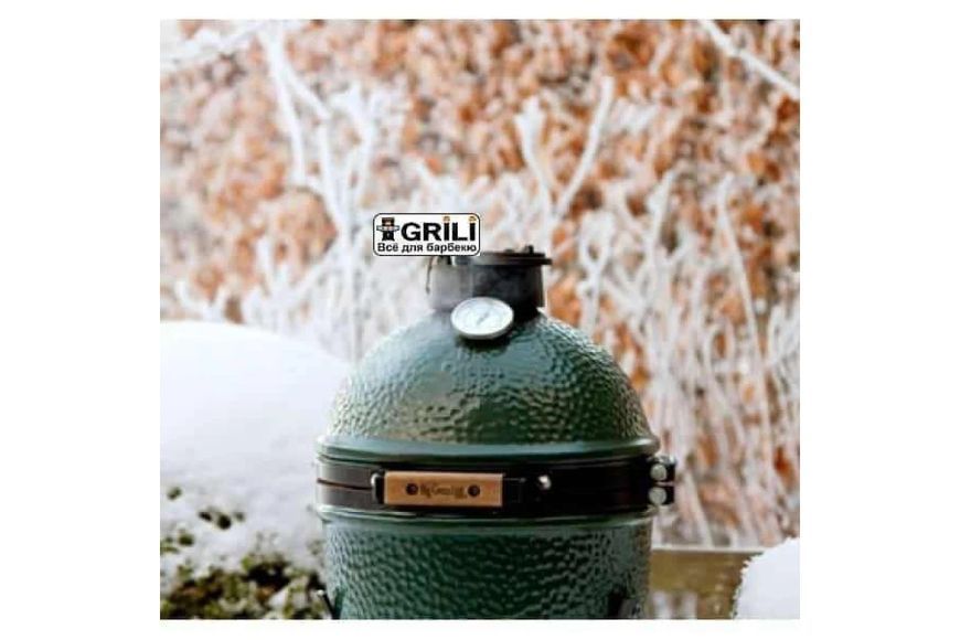 Керамічний вугільний гриль Mini Big Green Egg 117618 (00040) GR_003009 фото