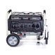 Бензиновий генератор Matari MX4000E / кВт RI_MMX-4 фото 2