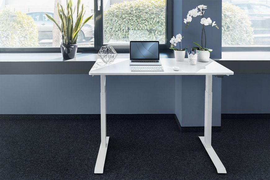Стіл DIGITUS Electric Height Adjustable, 73-123cm, білий RC_DA-90407 фото