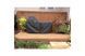 Чохол для гриля XL у столі Big Green Egg CTXLB GR_004757 фото 2