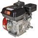 Двигун бензиновий Vitals GE 6.0-20kr IN_165165 фото 3