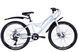 Велосипед сталь 24" Discovery FLINT DD рама-13" білий (матовий) з крилом Pl 2024 VT_OPS-DIS-24-344 фото 1